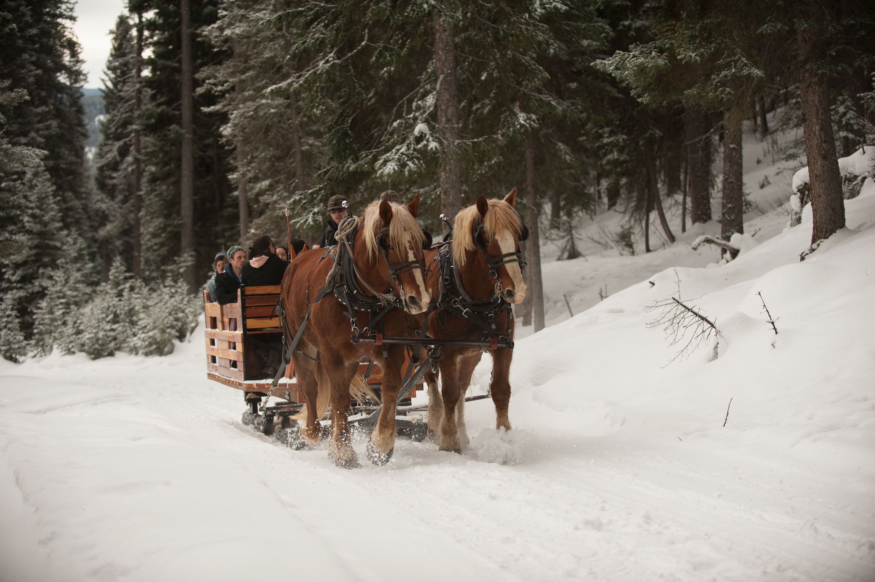 Set Your Sights on Sleigh Rides and Firesides